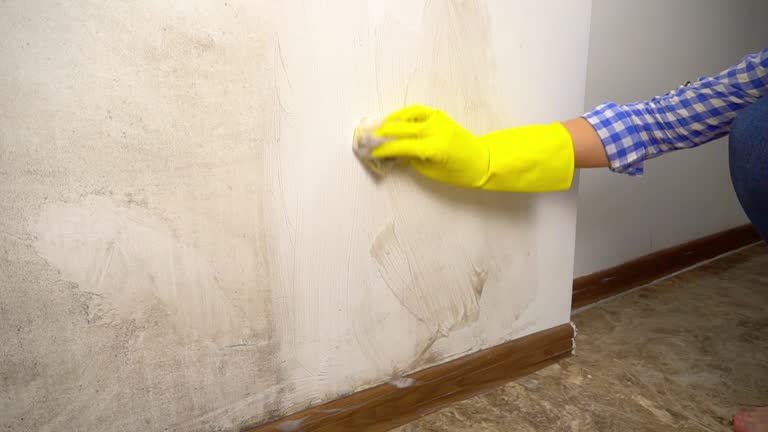 Best Airborne Mold Testing  in Dade City North, FL